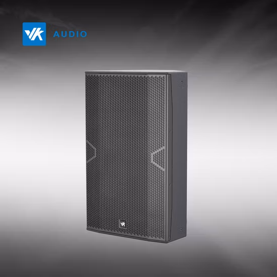 Novo sistema de PA 15 polegadas Full Range Professional Speaker PT15 Vk Audio