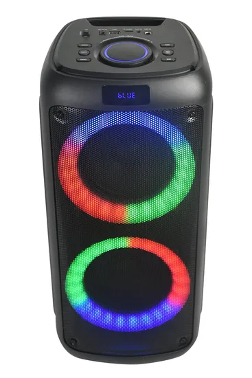 Caixa de som com rádio FM Bluetooth Party Box, alto-falante duplo de 6,5 polegadas para festas