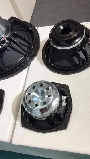 Alto-falante Falante de áudio profissional de 10 polegadas com cone de alcance total dos EUA