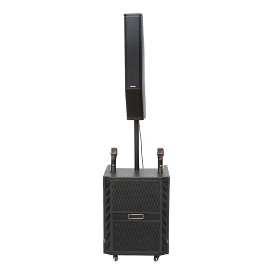 Sistema de áudio de alto-falante de matriz de linha de coluna PRO Audio, subwoofer de 15 polegadas