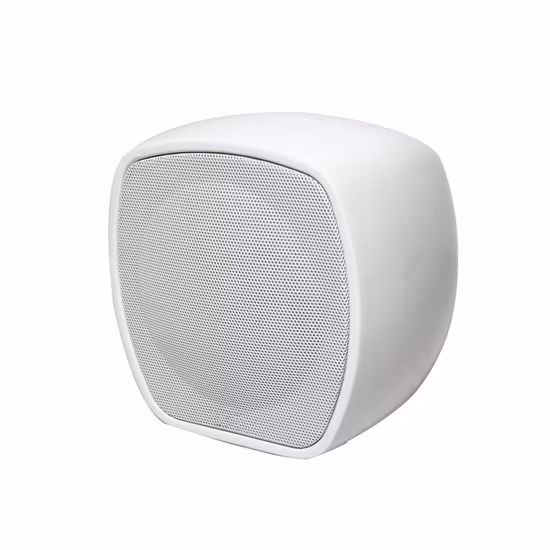 PRO Audio 100V 50W a 4 Ohm 2 vias Mini Full Range Branco/Preto Alto-falante profissional de fibra de vidro para música montado na parede para sistema de PA e BGM