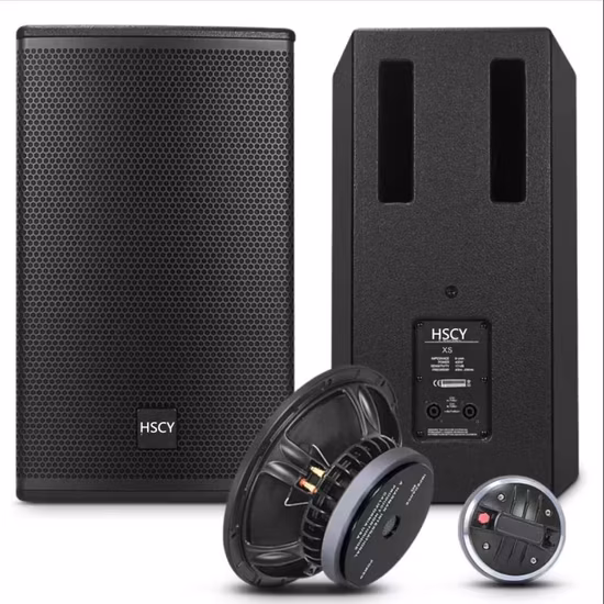 Alto-falante estéreo de 250 watts de 10′′ para montagem em parede, alto-falante interno de alcance total para aeroporto, departamento, igreja